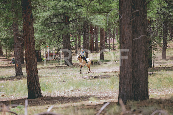JAS_1061