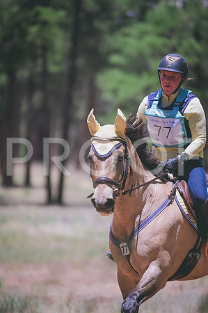 DSC_5625