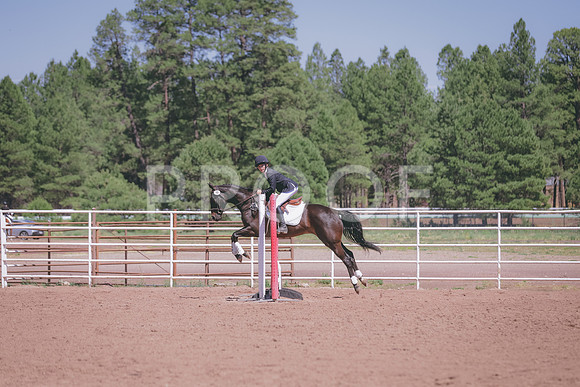 JAS_9071