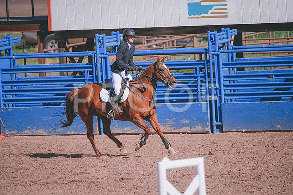 DSC_8351