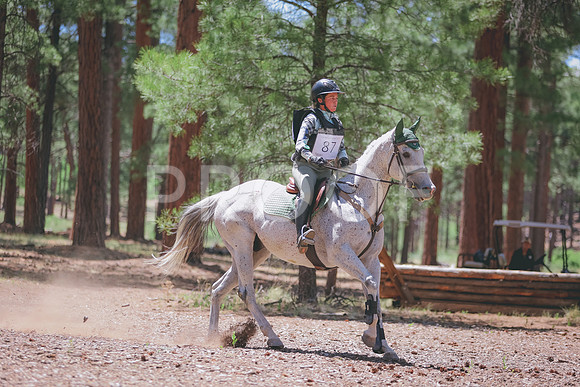 0N0A7197