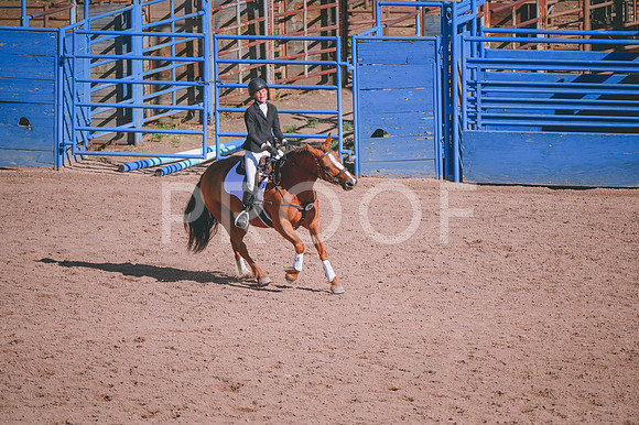 DSC_9335
