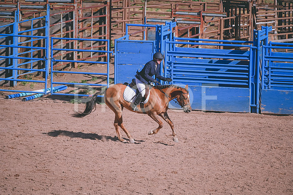 DSC_9568