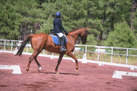 JLP_5529