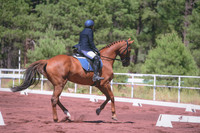 JLP_5533