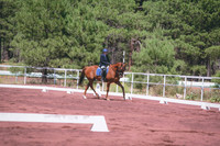 JLP_5538