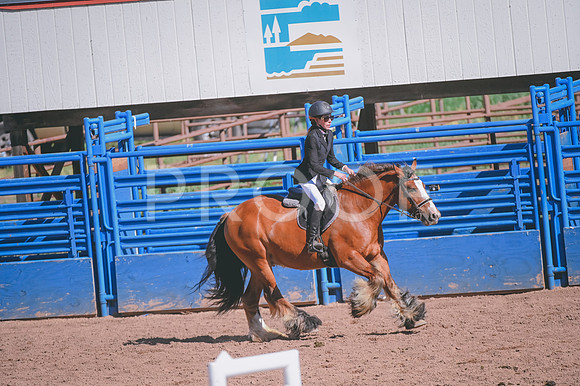 DSC_8510