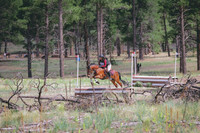 JAS_1667