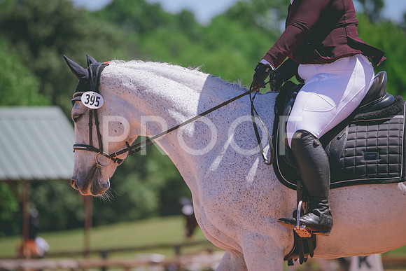 RWP_0417