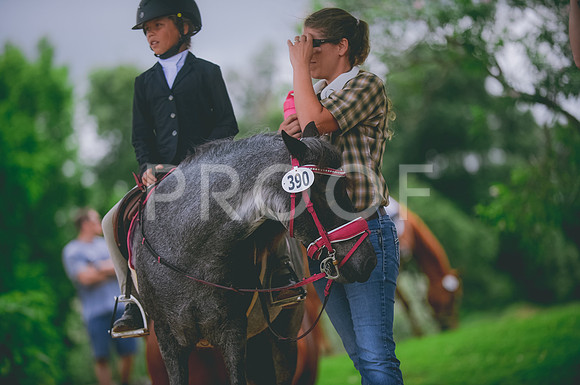 000_3696 copy