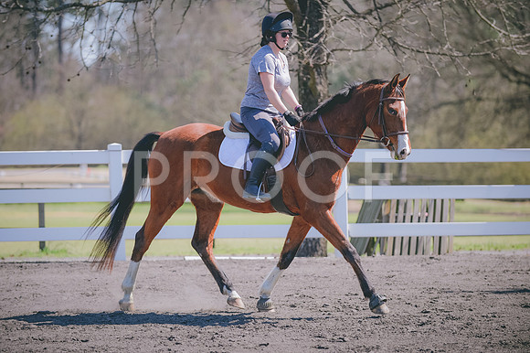 JJS_0542