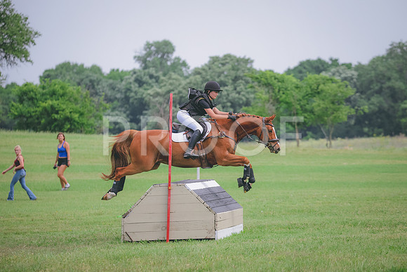 RWP_0446