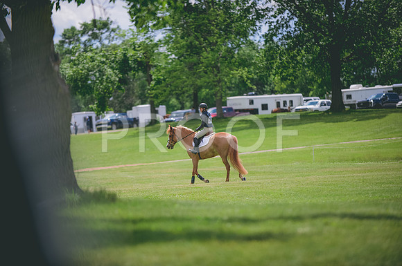 JJS_0866