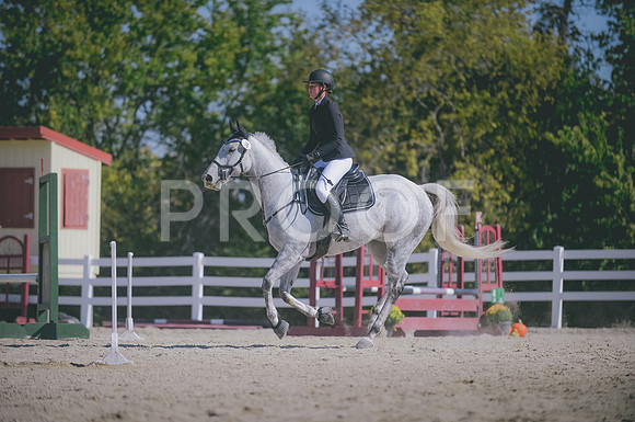 JJS_2618