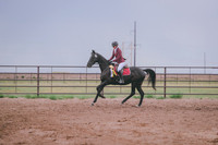 CDH_9006