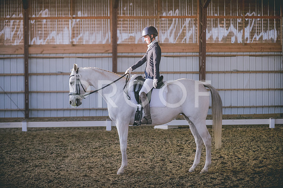 JJS_0593