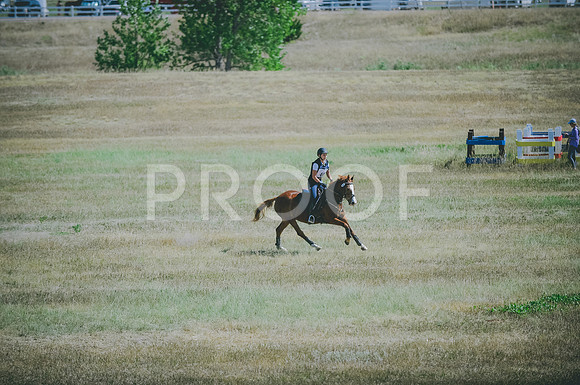 JJS_0658