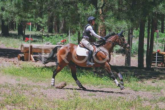 DSC_0552