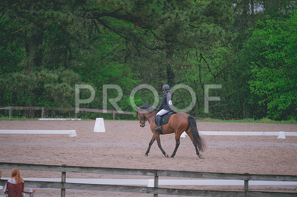 JJS_1981