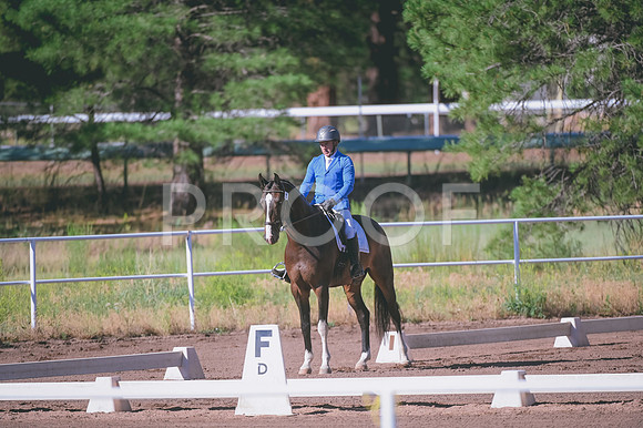 DSC_2016