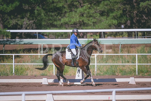 DSC_2113