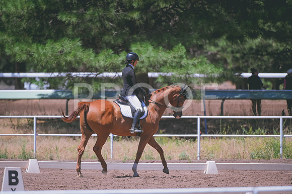 DSC_7870