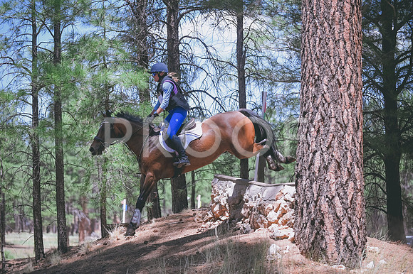 DSC_2401 (1)