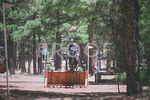 DSC_2208
