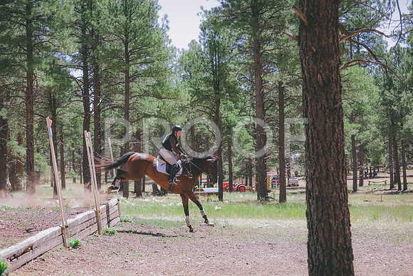 JAS_2491