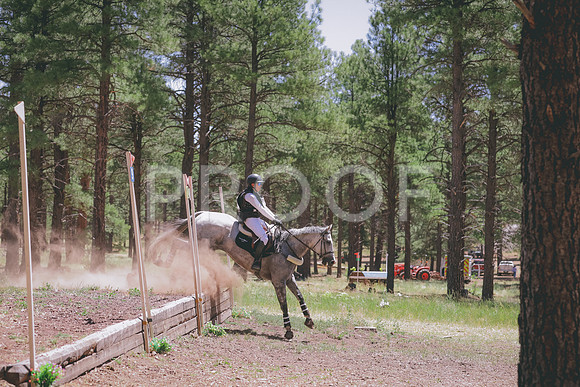 JAS_2662