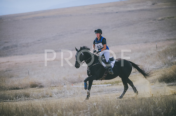 JJS_0469