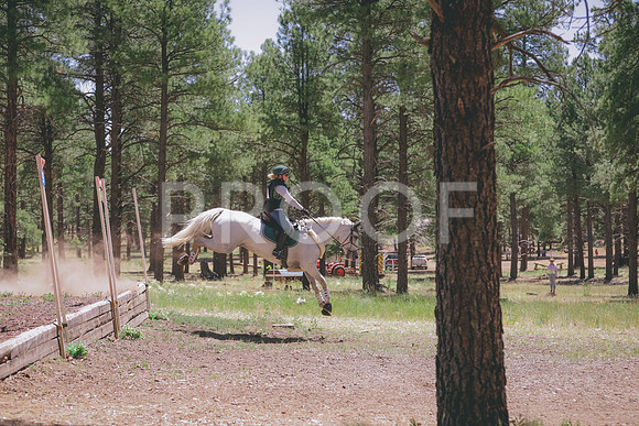JAS_2571