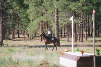 JAS_1701