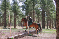 JAS_2188