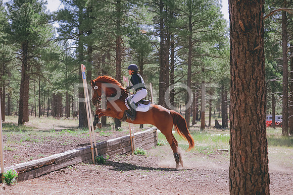 JAS_2276