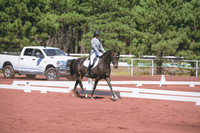 JLP_9828