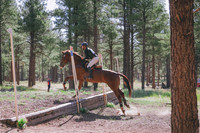JAS_1851