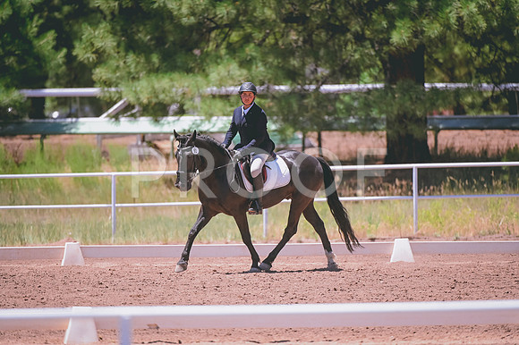 DSC_9543