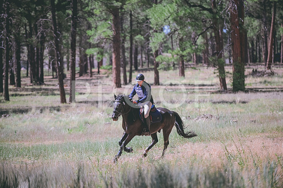 DSC_3676