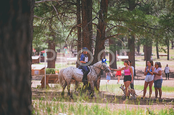 DSC_2609