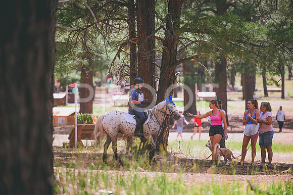 DSC_2607