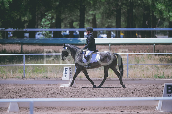 DSC_0541