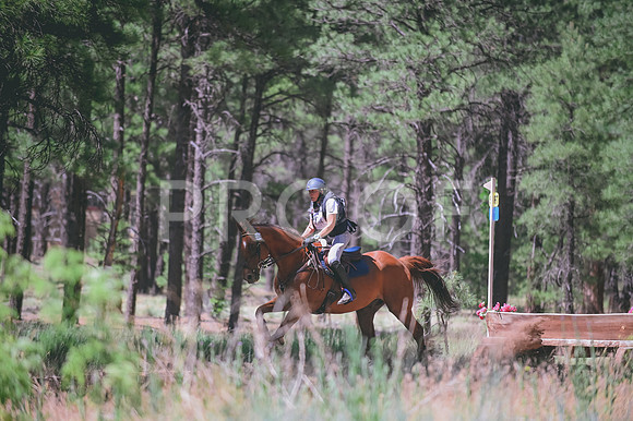 DSC_3465