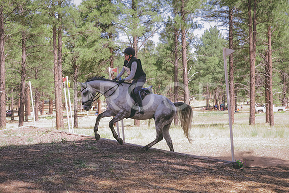 JAS_3075