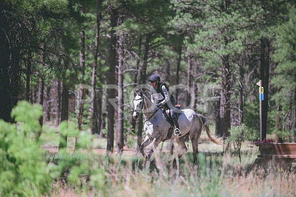 DSC_4119