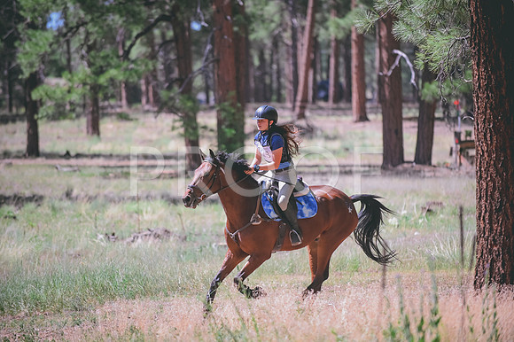 DSC_4322