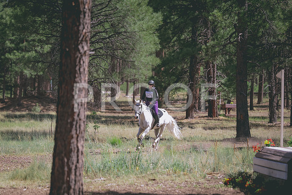 JAS_3226