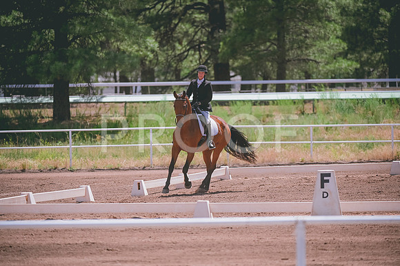 DSC_3581