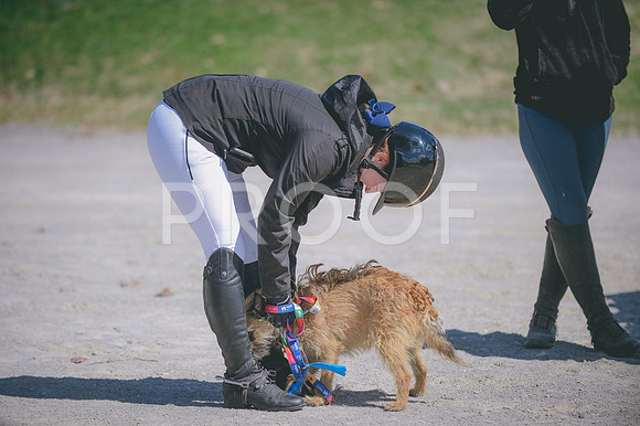 JJS_3938