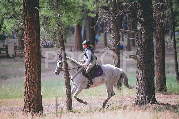 DSC_6562